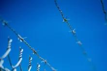 Vor strahlend blauem Himmel ist ein Stacheldrahtzaun zu sehen, schräg von unten fotografiert.