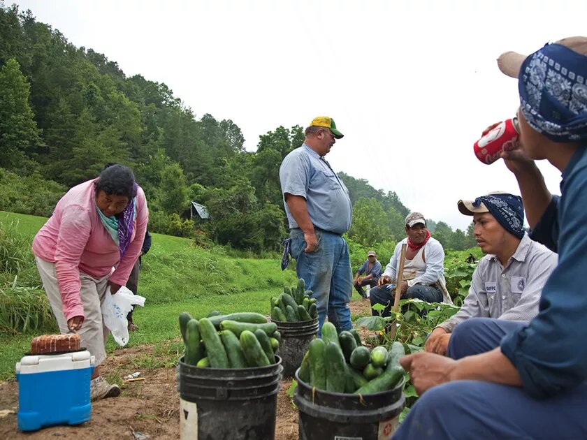 Farm-Arbeiter