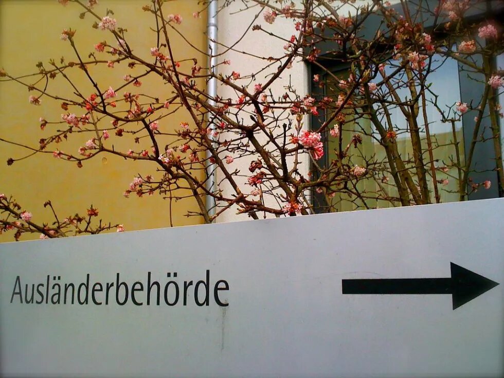 Ausländerbehörde (immigration office)