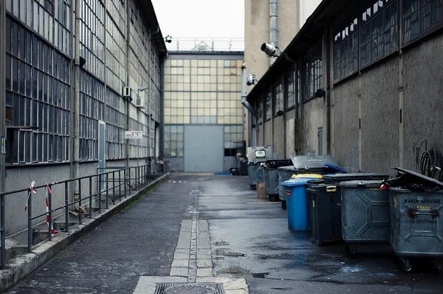 "backyard"