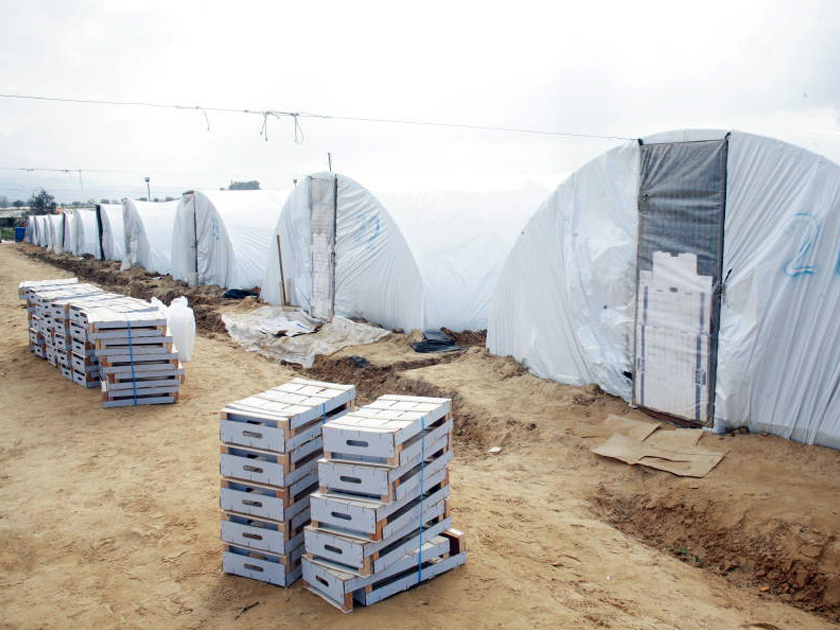Live shacks of strawberry pickers in the Greek province of Ilia. Most of the pickers receive wages well below the national average Live shacks of strawberry pickers in the Greek province of Ilia. Most of the pickers receive wages well below the national average
